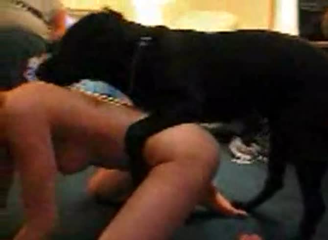 Video :Sexy girl with perky tits got pussy licked and fucked in dog porno